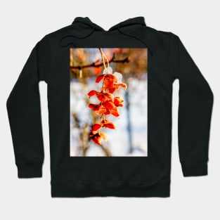 Winter Bittersweet Hoodie